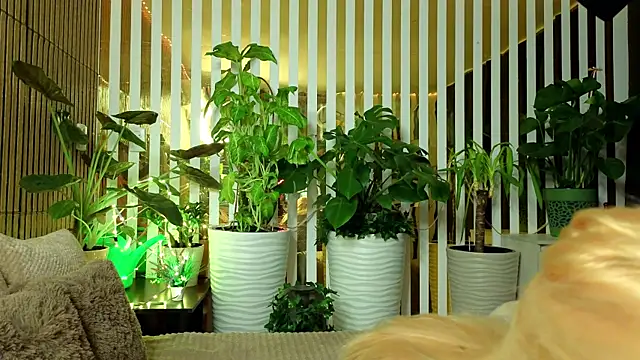 FlowweerGirl online show from December 2025 09:41:02 PM