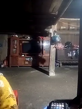 ava-dellght online show from February 2026 02:28:01 AM