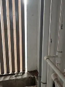 boyfromMum bai online show from January 2026 02:48:01 AM