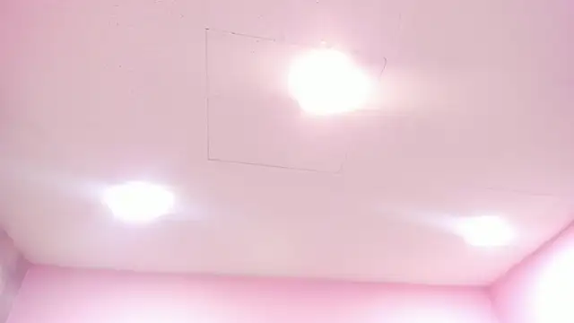 Tokio Bliss online show from December 2025 12:54:01 PM