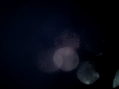 jefflatex45 online show from May 2026 12:24:02 PM