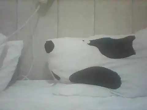 Thand03 online show from May 2026 03:57:01 AM
