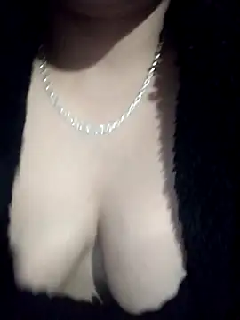 Snapshot of RV616 chatting on December 2025 12:14:02 PM RV616 online show from December 2025 12:14:02 PM