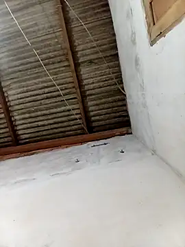 w2025silva online show from February 2026 06:35:02 AM