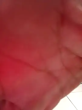 w2025silva online show from February 2026 05:16:02 AM