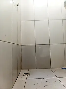 w2025silva online show from February 2026 07:56:02 PM