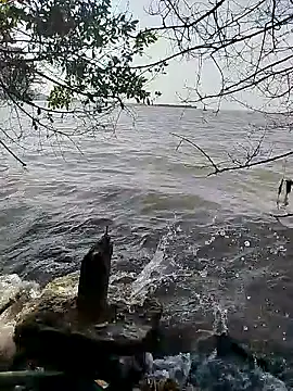 Snapshot of Andreskelly chatting on February 2026 01:51:02 PM Andreskelly online show from February 2026 01:51:02 PM