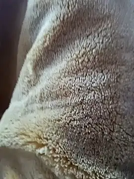 AR7v online show from December 2025 09:24:01 AM