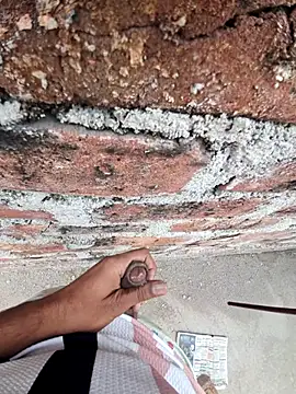 SHAKIVVVV online show from December 2025 09:48:01 AM