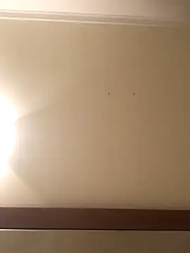 Palinchik online show from January 2026 09:39:02 PM