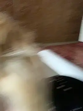 Barbika19 online show from March 2026 08:18:01 AM