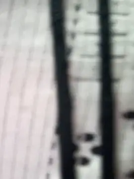 teena-11 online show from March 2026 02:21:02 PM