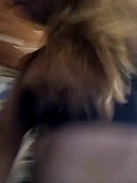 Snapshot of cari75 chatting on February 2026 02:53:01 AM cari75 online show from February 2026 02:53:01 AM