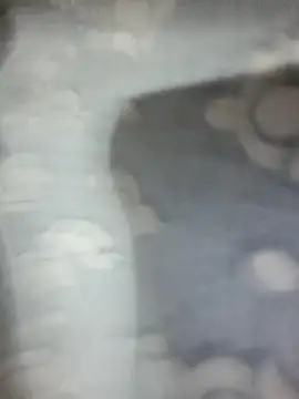 Snapshot of saxy_bhabi_2002 chatting on January 2026 12:42:01 PM saxy bhabi 2002 online show from January 2026 12:42:01 PM