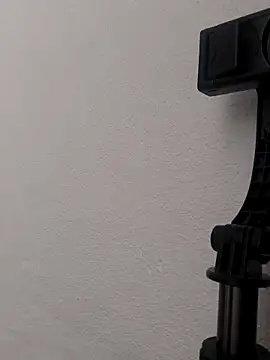 Snapshot of alevlibayan chatting on December 2025 09:58:02 AM alevlibayan online show from December 2025 09:58:02 AM