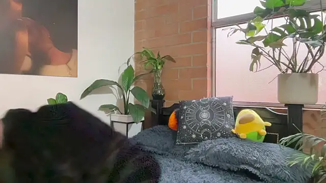 Snapshot of Andy_Belier23 chatting on February 2026 11:54:01 AM Andy Belier23 online show from February 2026 11:54:01 AM