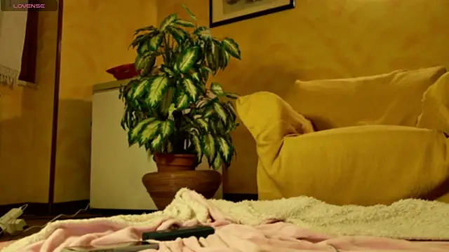 mark ariete online show from February 2026 06:39:02 PM