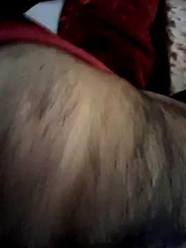 Snapshot of aman4404 chatting on February 2026 09:00:02 AM aman4404 online show from February 2026 09:00:02 AM