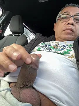 tigre6911 online show from February 2026 05:12:02 PM