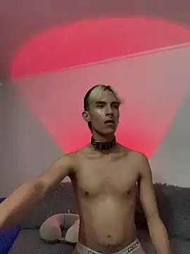 Dracco Velour  online show from February 2026 05:03:02 AM