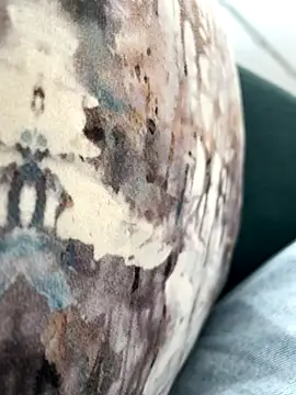 Snapshot of Farawz chatting on December 2025 06:47:02 PM Farawz online show from December 2025 06:47:02 PM