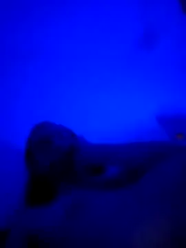 Snapshot of vladopen chatting on January 2026 05:21:02 AM vladopen online show from January 2026 05:21:02 AM