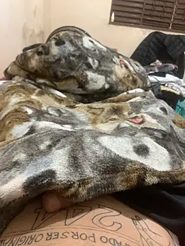 heitorpaugrande online show from March 2026 01:06:01 PM