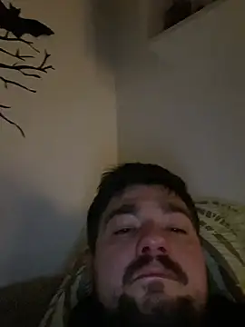 LienalWarplane online show from February 2026 01:24:02 AM