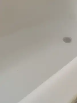 Mm7oon nek online show from April 2026 08:50:01 PM