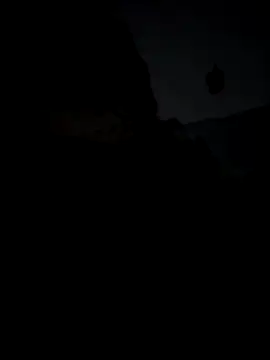 IneedTipsBaby online show from December 2025 11:12:02 PM