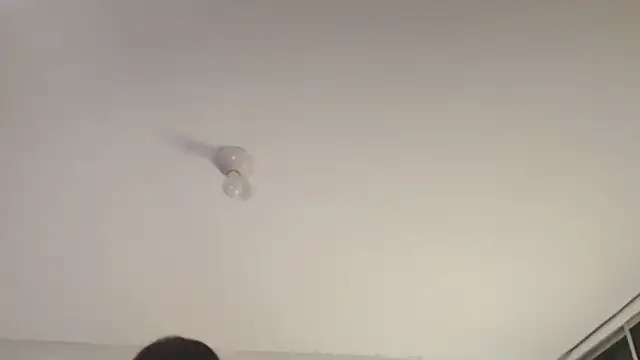 Snapshot of Sofii_unicorn chatting on March 2026 01:40:02 PM Sofii unicorn online show from March 2026 01:40:02 PM