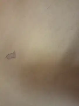 Snapshot of yourburget chatting on February 2026 02:24:01 PM yourburget online show from February 2026 02:24:01 PM