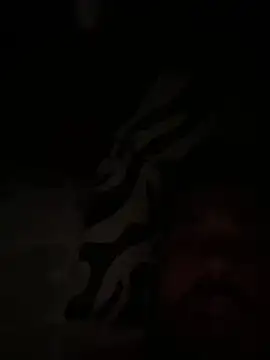 Snapshot of paco199923 chatting on February 2026 09:15:01 AM paco199923 online show from February 2026 09:15:01 AM