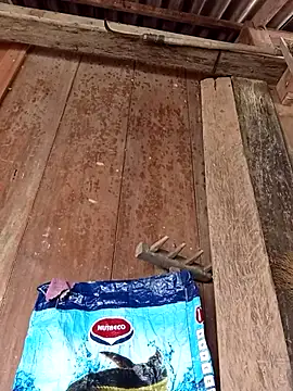 dakota-kis online show from April 2026 05:08:02 AM