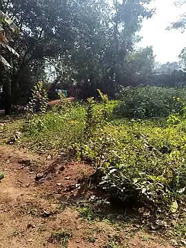 Snapshot of janbi_sexe chatting on January 2026 05:46:02 AM janbi sexe online show from January 2026 05:46:02 AM