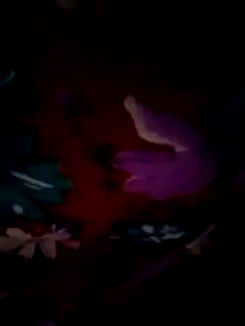 Snapshot of ramya_sri chatting on February 2026 09:21:02 AM ramya sri online show from February 2026 09:21:02 AM