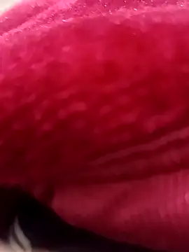 Snapshot of daksh__8_inche chatting on February 2026 08:34:01 PM daksh 8 inche online show from February 2026 08:34:01 PM