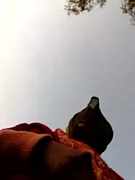 Snapshot of Jyoti_sekh chatting on February 2026 02:04:02 AM Jyoti sekh online show from February 2026 02:04:02 AM