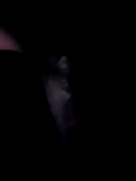 Snapshot of SweetTastes chatting on February 2026 12:39:02 PM SweetTastes online show from February 2026 12:39:02 PM