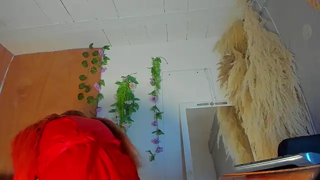 Snapshot of Alice_randyy chatting on February 2026 01:04:02 PM Alice randyy online show from February 2026 01:04:02 PM