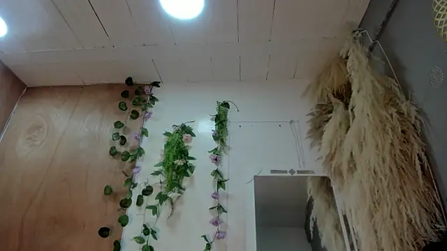 Snapshot of Alice_randyy chatting on February 2026 01:04:01 PM Alice randyy online show from February 2026 01:04:01 PM