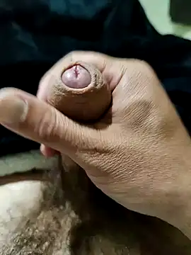 jim41 online show from March 2026 06:08:02 AM