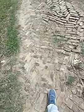 Pagelboy 089 online show from March 2026 08:20:01 AM