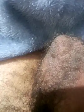 Snapshot of So1sh chatting on January 2026 02:48:01 AM So1sh online show from January 2026 02:48:01 AM