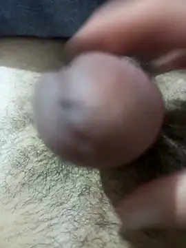 Snapshot of So1sh chatting on February 2026 04:33:02 AM So1sh online show from February 2026 04:33:02 AM