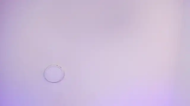 Genesis And Jack  online show from February 2026 02:21:01 AM