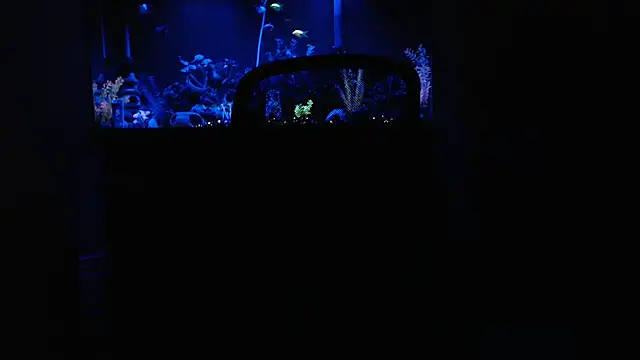 Snapshot of EspanolVato chatting on February 2026 09:30:02 AM EspanolVato online show from February 2026 09:30:02 AM