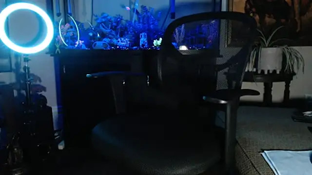 Snapshot of EspanolVato chatting on February 2026 09:43:02 AM EspanolVato online show from February 2026 09:43:02 AM