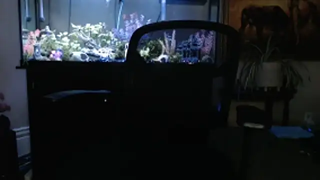 EspanolVato online show from March 2026 11:45:01 PM