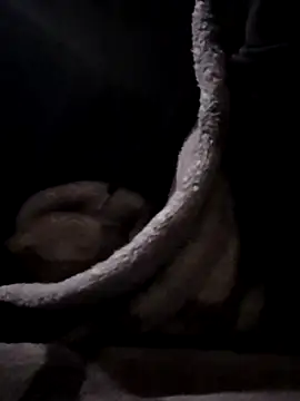 Snapshot of YoungAsainWithATrunk chatting on January 2026 12:09:02 PM YoungAsainWithATrunk online show from January 2026 12:09:02 PM